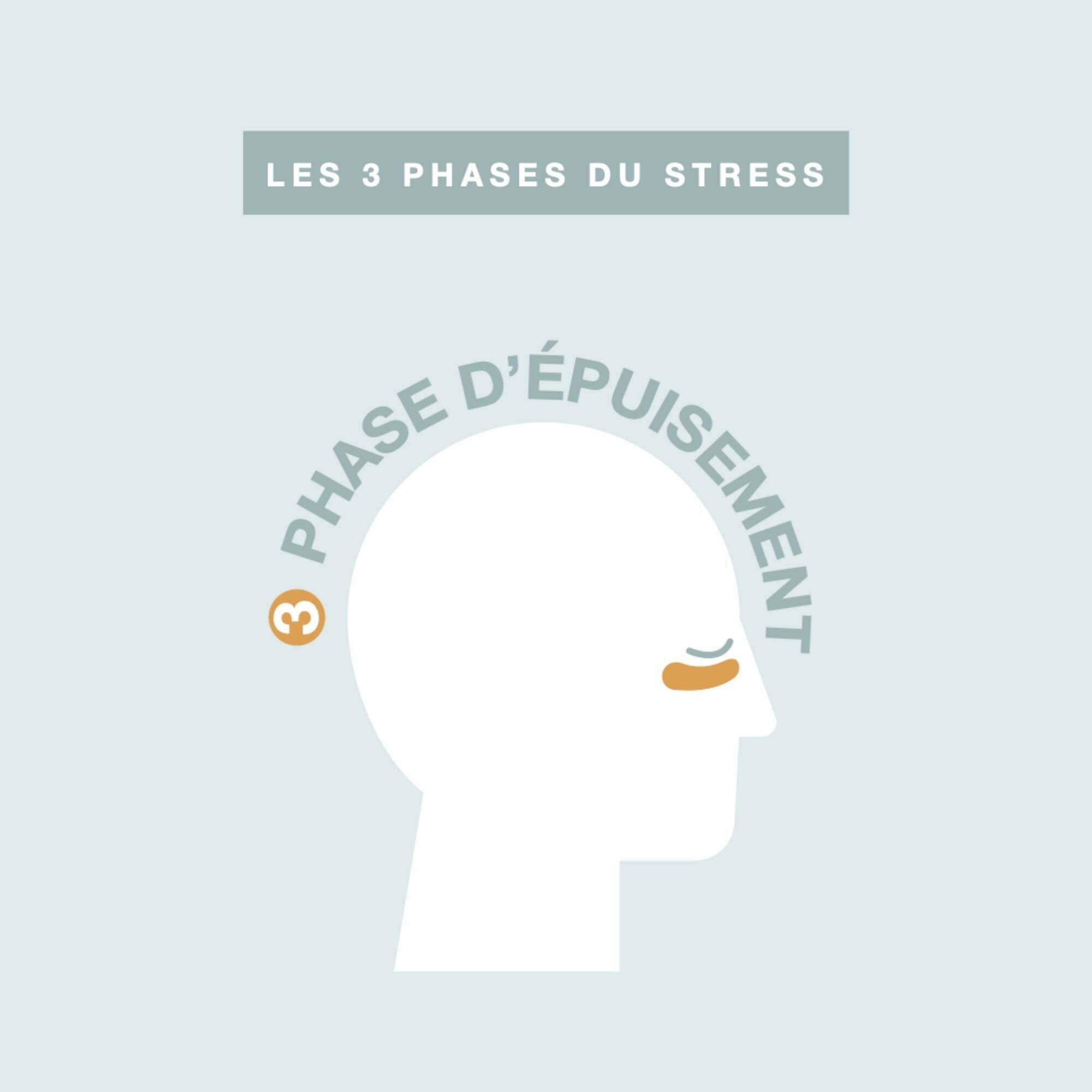 LAVILAB-stress LAVILAB-stress