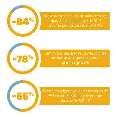 coupe faim grignotage poids