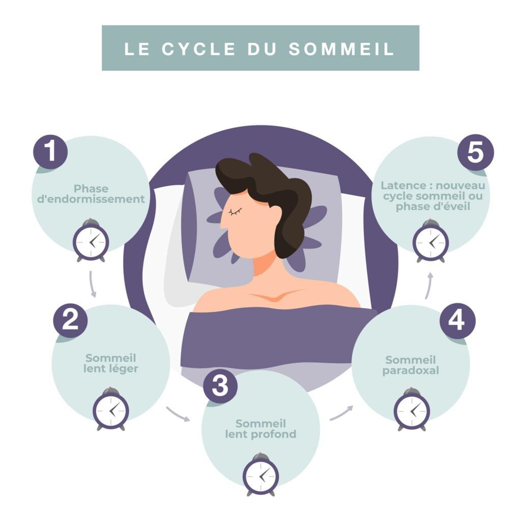 cycle-du-sommeil-dormir