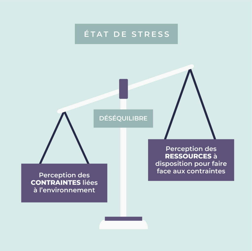etat-de-stress-environnement-ressources-desequilibre