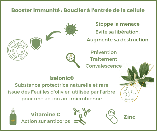 solution naturelle immunité vitamines défenses naturelles grippe rhume
