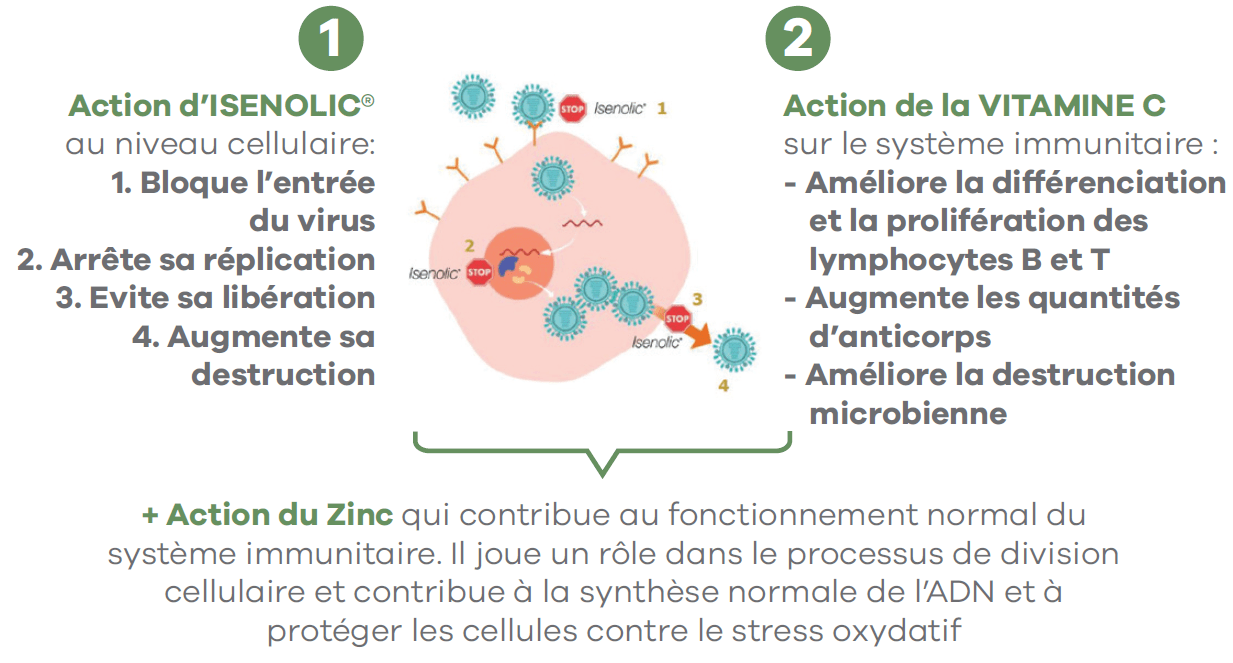 complément alimentaire défenses naturelles virus