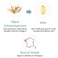 composition complément alimentaire oméga 3 DHA d'origine végétale à base d'algues, solution naturelle cerveau, mémoire, concentration, humeur