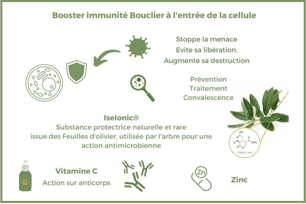complément alimentaire immunitaire grippe rhume maladie vitamines