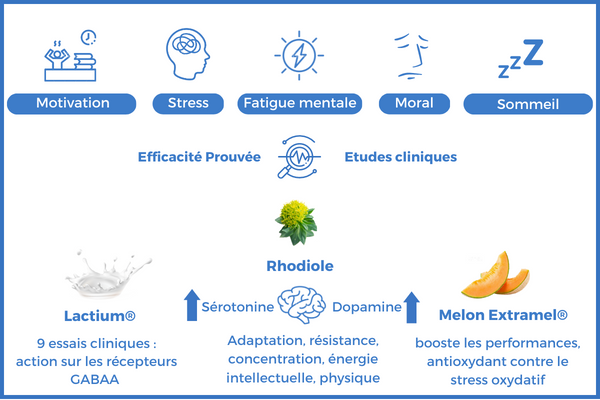 traitement naturel fatigue nerveuse stress humeur