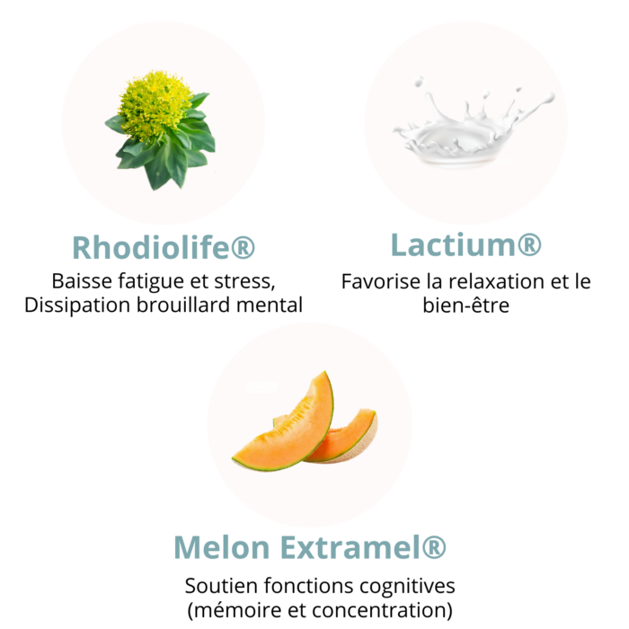 composition complément alimentaire à base de rhodiola contre le stress, la fatigue mentale, la déprime, traitement naturel régulateur émotionnel