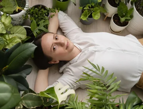 Plantes contre la fatigue
