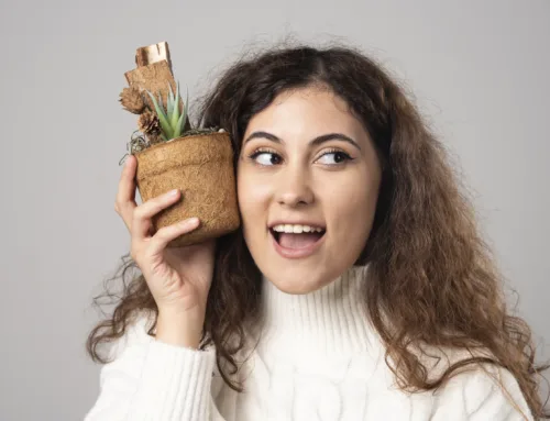 Les meilleurs plantes pour être de bonne humeur